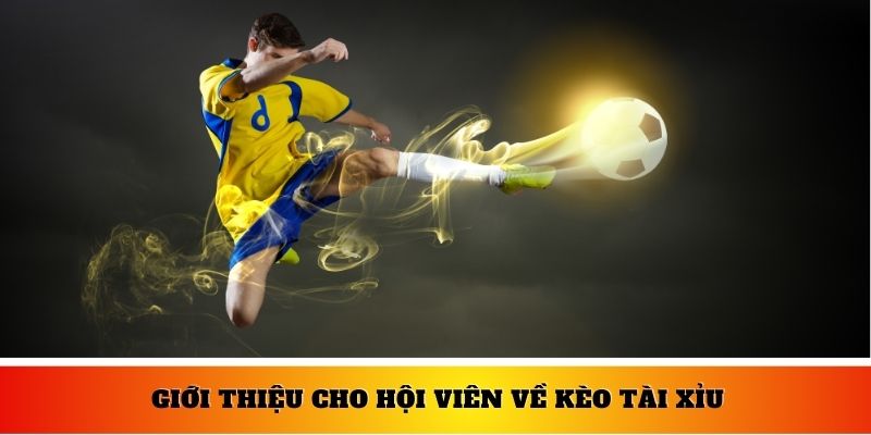 Giới thiệu cho hội viên về kèo tài xỉu