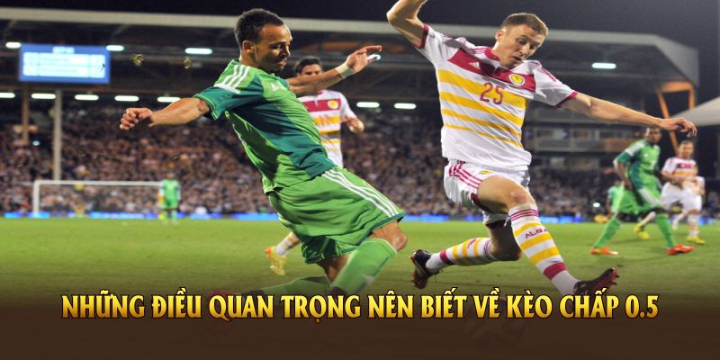 Những điều quan trọng nên biết về kèo chấp 0.5
