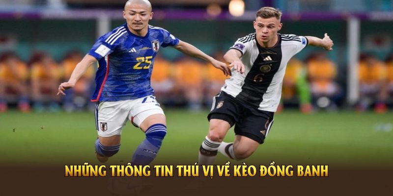 Những thông tin thú vị về Kèo đồng banh chi tiết cho người mới